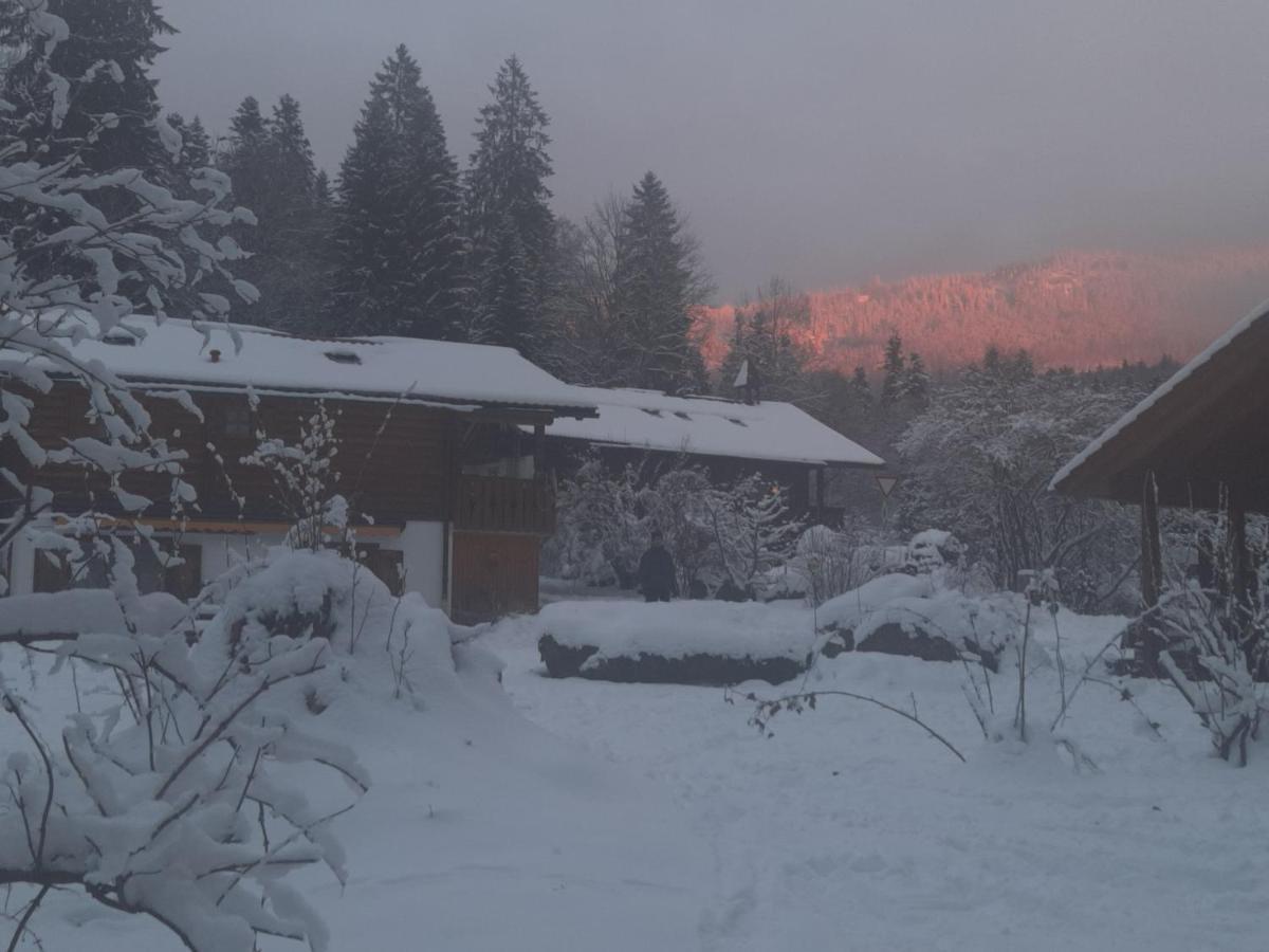 Huettenzauber Ferienwohnung Mitten Im Nationalpark Lindberg Dış mekan fotoğraf