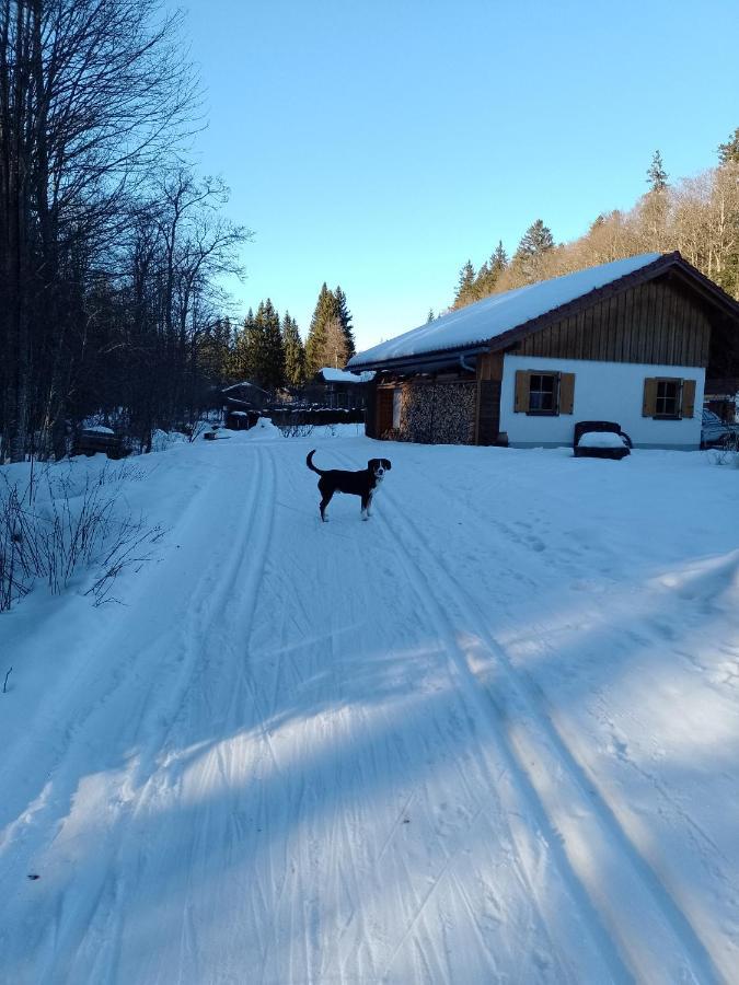 Huettenzauber Ferienwohnung Mitten Im Nationalpark Lindberg Dış mekan fotoğraf