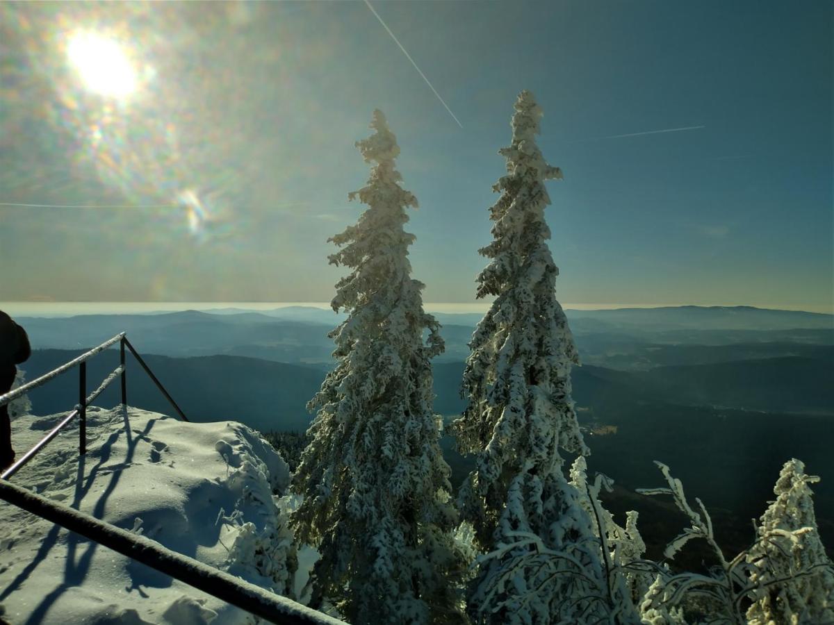 Huettenzauber Ferienwohnung Mitten Im Nationalpark Lindberg Dış mekan fotoğraf