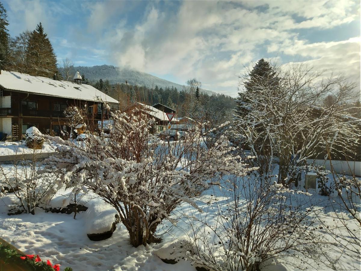 Huettenzauber Ferienwohnung Mitten Im Nationalpark Lindberg Dış mekan fotoğraf